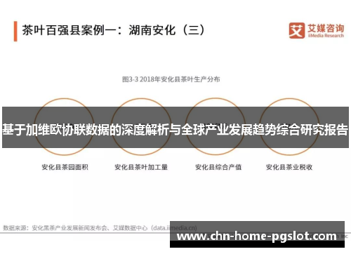 基于加维欧协联数据的深度解析与全球产业发展趋势综合研究报告
